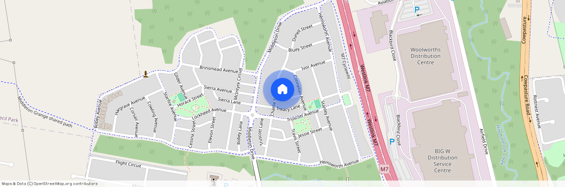 4 Treacy Avenue, NSW 2171, Middleton Grange