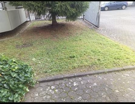 Senioren Wohnungen frei in Nippes mit WBS - Photo 1