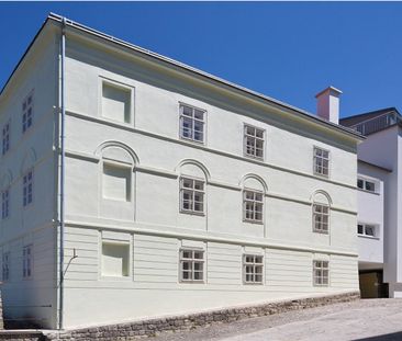 SCHEIBBS XIX/1 - Foto 3