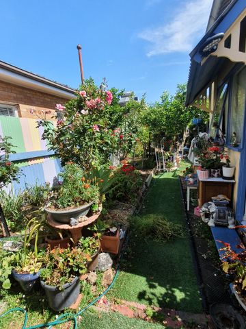 Collingwood - Photo 4