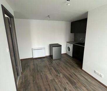 Location Appartement 2 pièces 25m² LA MULATIERE 69350 - Photo 6