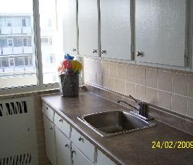 Lakeshore - Photo 2