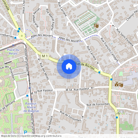 31700, Blagnac