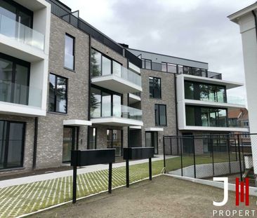 Ground floor for rent - Photo 4