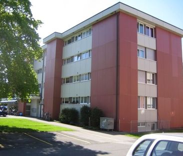 Directly on the Aar – not only perfect for singles - Photo 1