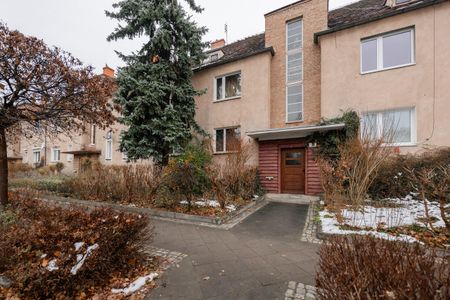 Kameralne 3-pokojowe mieszkanie niedaleko Wyspy Opatowickiej! - Photo 5