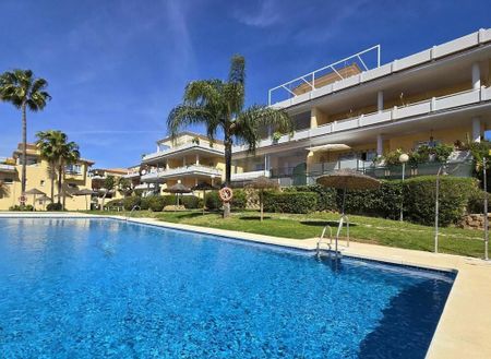 Ground Floor Apartment in Cabopino - Photo 4