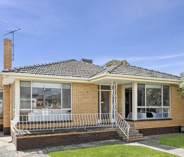 There's room for everyone - Photo 5