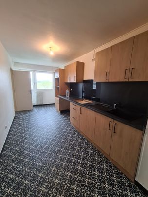 Location Appartement 4 pièces 88m² VANDOEUVRE LES NANCY 54500 - Photo 1