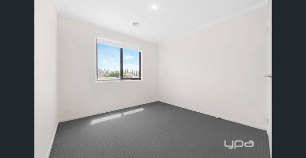 MODERN LIVING IN THE GROVE ESTATE - Photo 1