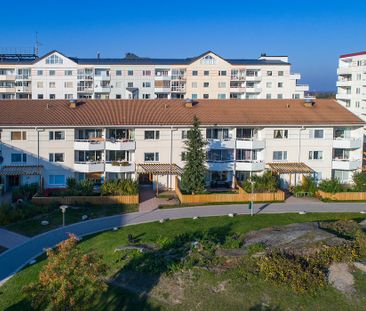 Lejonets Gata 352, Brandbergen - Photo 6