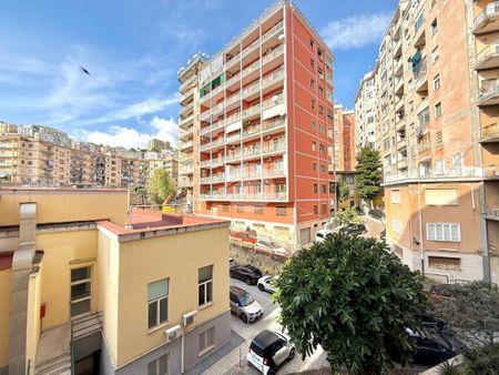 5 locali in affitto - Photo 5