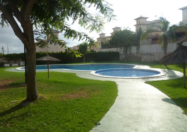 53 Tulipan – Id. 393