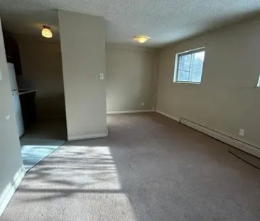 1 Bdrm Apartment of Yellowhead & 90 St | 12708 90 St Unit, Edmonton - Photo 1