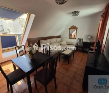 Piso en alquiler en Centro Plaza Picasso - Photo 3