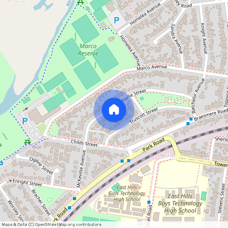 7B Cammarlie Street, NSW 2213, Panania