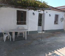 Μονοκατοικία για ενοικίαση - Μεσσήνη, - Photo 6