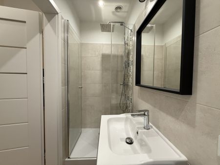 Kraków ul. Botaniczna jednopokojowe do wynajęcia - Zdjęcie 5