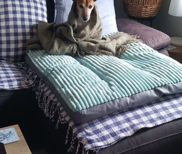 Biggera Waters - Photo 1