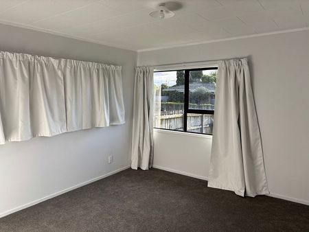 Charming 3BR Home in Flat Bush - Photo 3