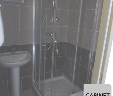 Location Appartement 1 pièce 20m² JARRIE 38560 - Photo 3