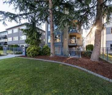 2 bedroom, 2 bathroom 1 block from VGH - Photo 4