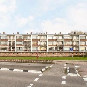 Dr. J. W. Paltelaan, 2712 Zoetermeer, Nederland - Photo 2