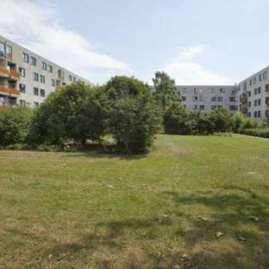 Boeninlaan 1102 Amsterdam - Foto 1