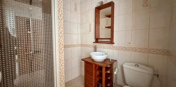 Location Appartement 1 pièce 27m² TOURS 37000 - Photo 2