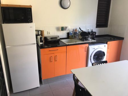 Location Appartement 1 pièce 29m² CAYENNE 97300 - Photo 3