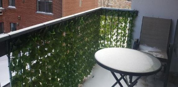 4 1/2 - Montréal (Ville-Marie (Centre-ville)) - 1 708 $/mois - Photo 2