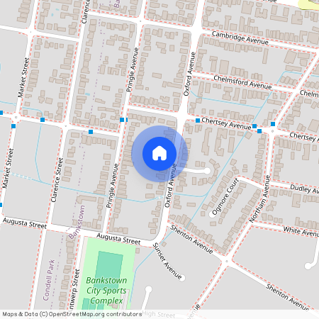 91 Oxford Avenue, NSW 2200, Bankstown