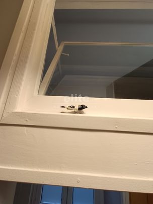 Szczecin, Śródmieście-Centrum - Photo 1