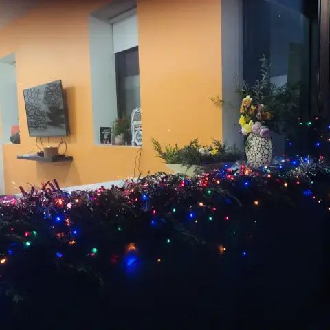 Twin shared room with En-Suite - Photo 1