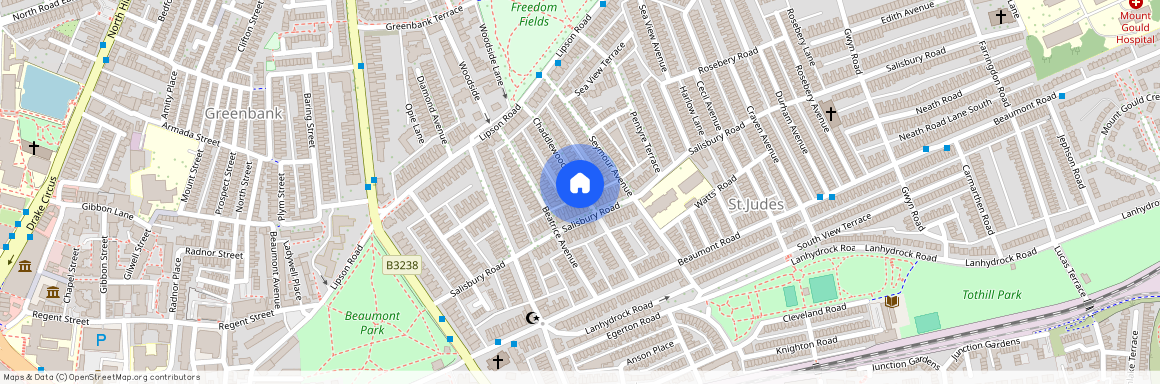 Chaddlewood Avenue, St.judes, Plymouth, PL4