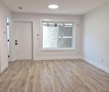 2715 201 St, Langley (Basement 2) - Photo 3