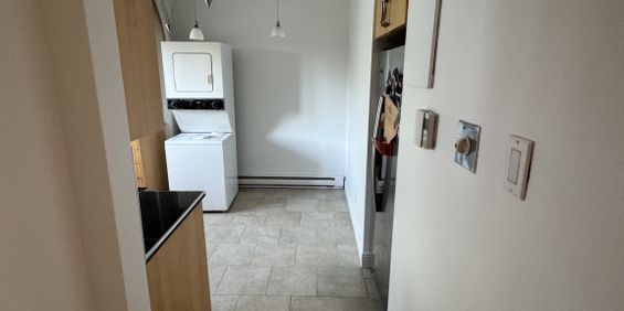 Grand 3 1/2 Complètement Rénové I - Photo 3