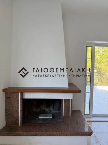 Διαμέρισμα για ενοικίαση Κέντρο (Άνοιξη) - Photo 3