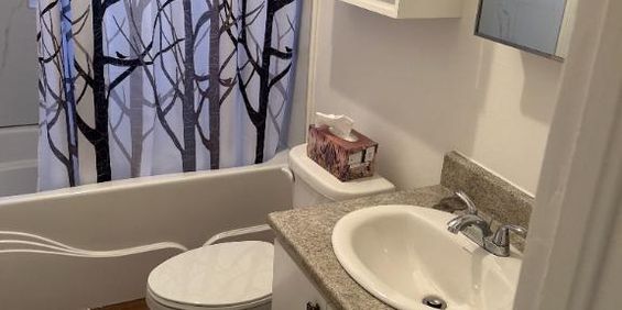 Logement à louer 4 1/2 Drummondville, très propre bien situé, non fumeur et sans animaux! - Photo 3