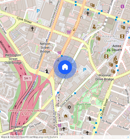 1F/113 Vincent Street, Auckland Central, Auckland City