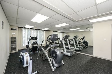 For Lease - 145 Hillcrest Avenue Unit# 202, Mississauga, Ontario - Photo 5
