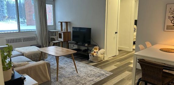 3 1/2 cession de bail Mars - Photo 2