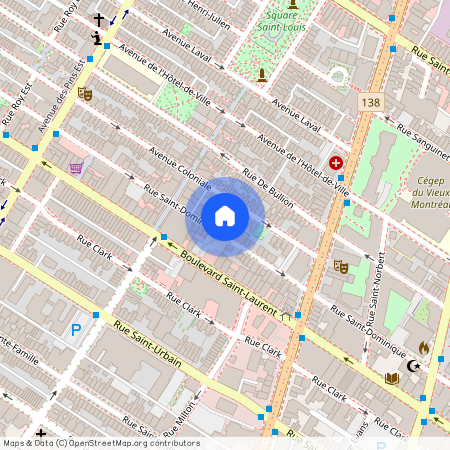 3531, Rue St-Dominique, apt. 002, Montréal (Le Plateau-Mont-Royal)