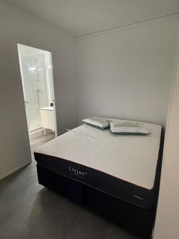 Location Appartement 1 pièce Meublé 29m² GRADIGNAN 33170 - Photo 3