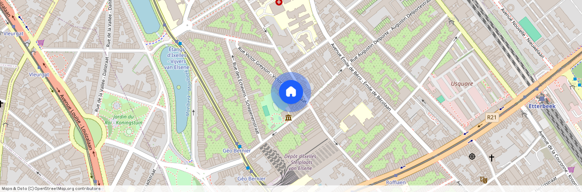 Rue Victor Greyson, 69, 1050, Ixelles