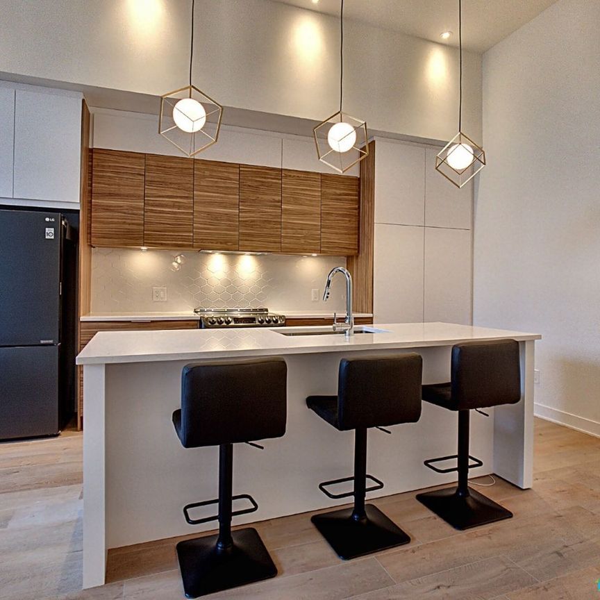 2040 boulevard Rosemont, Rosemont / La Petite Patrie à louer - Photo 1