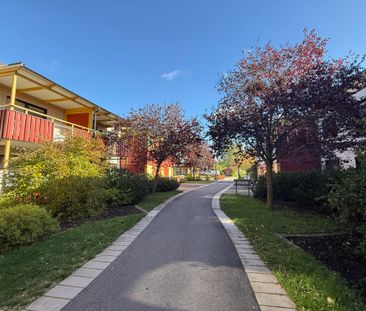 Två bröders väg 19 A Norrliden, Kalmar - Foto 6