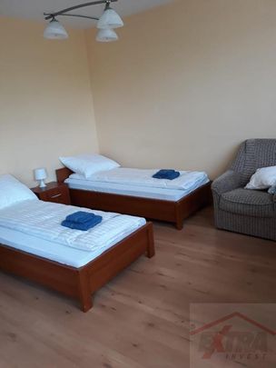 MIESZKANIE na WYNAJEM SZCZECIN (406101) - Photo 1