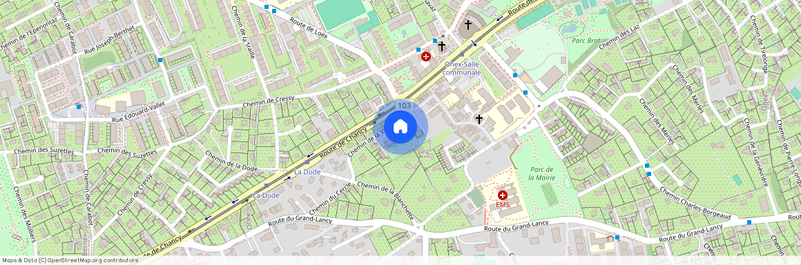 1213, Onex, Ch. de la Vi-Longe, 13