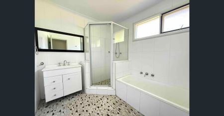 Freshly Painted Three Bedroom Home! - Photo 3